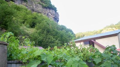 ფიროსმანი_9